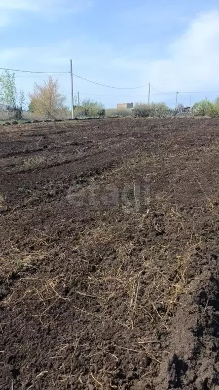 Участок в Оренбургская область, Оренбургский район, ... - Фото 0