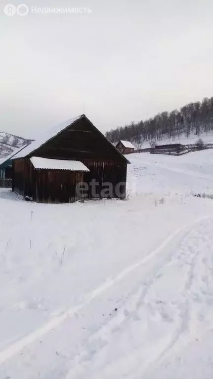 Дом в Шебалинский район, село Камай, Центральная улица (50 м) - Фото 1