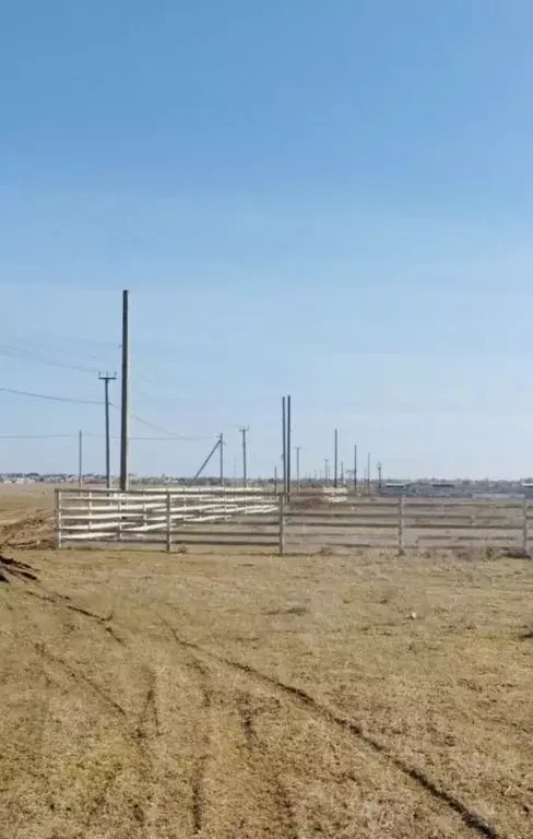 Участок в Крым, Сакский район, Молочненское с/пос, с. Витино  (5.0 ... - Фото 1