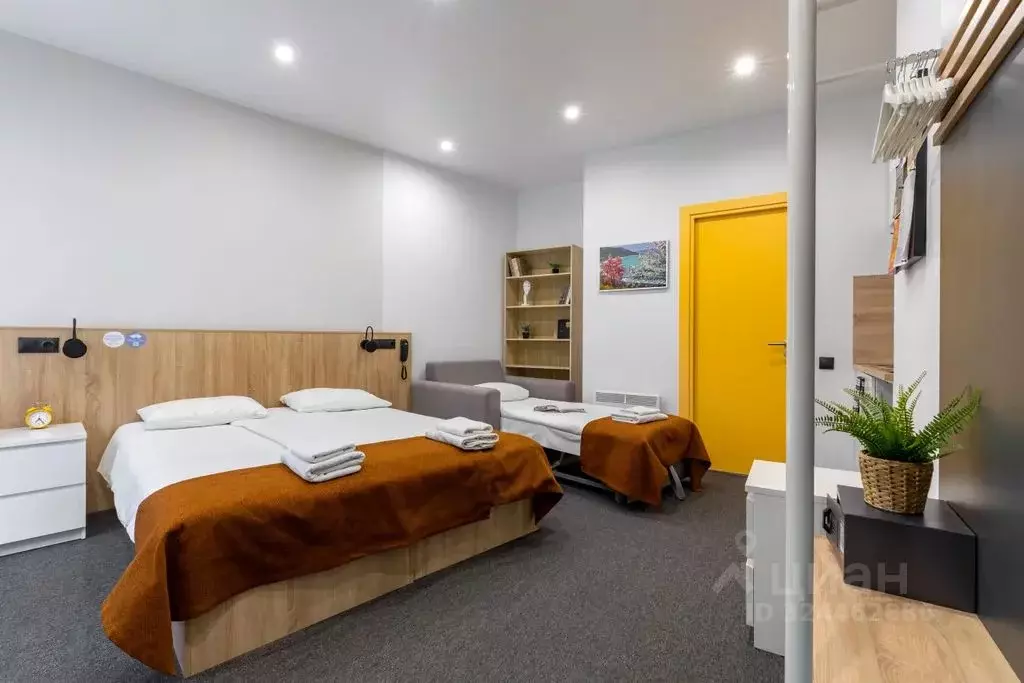 1-к кв. Санкт-Петербург пер. Крылова, 5Б (25.0 м) - Фото 1