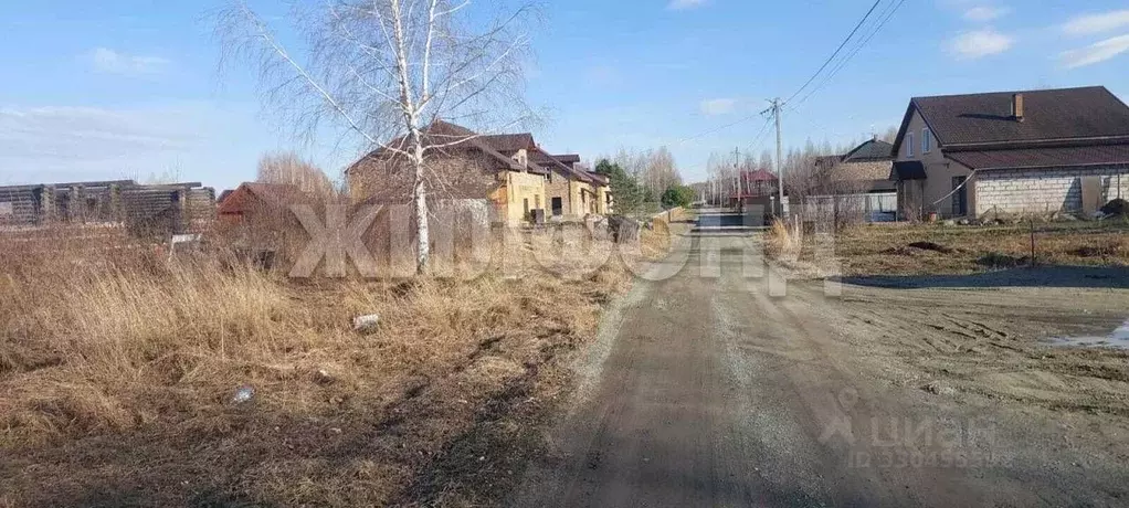 Участок в Новосибирская область, Коченевский район, Витязь садовое ... - Фото 1