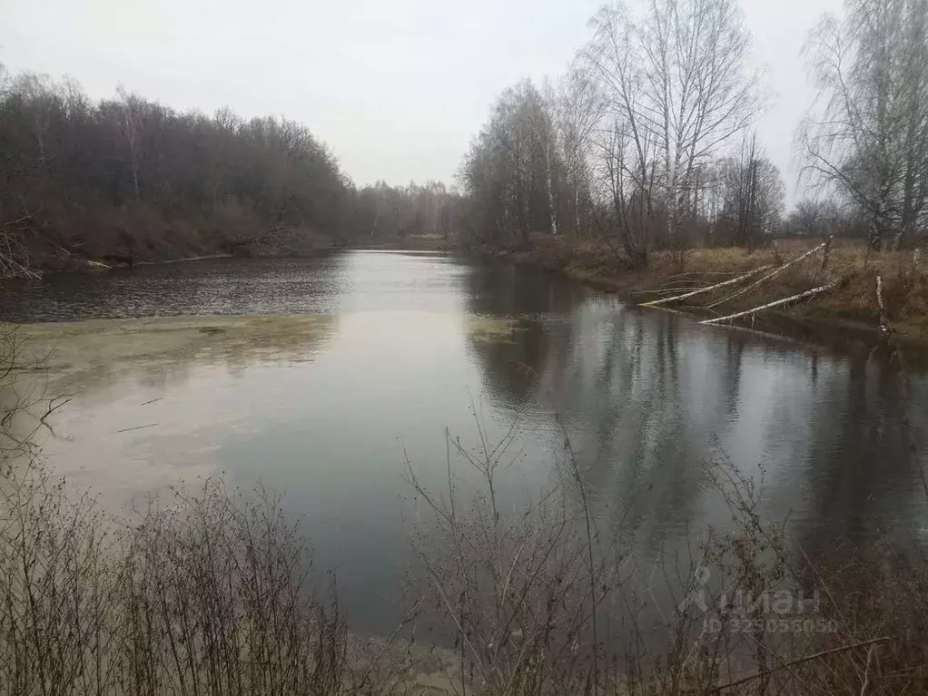 Участок в Рязанская область, Спасский муниципальный округ, с. Старое ... - Фото 1
