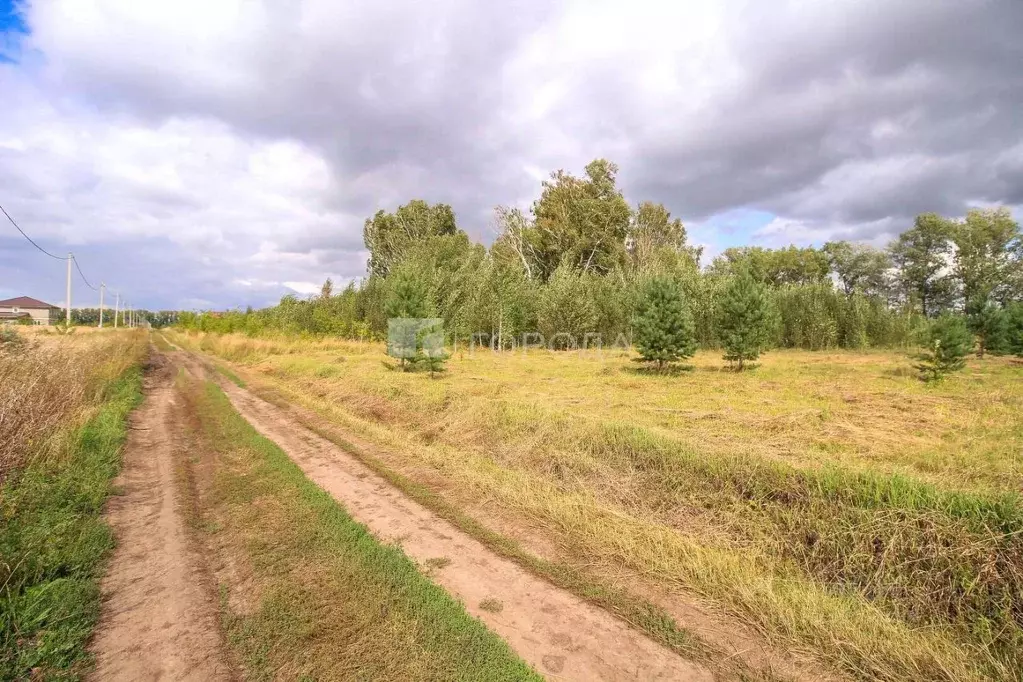 Участок в Алтайский край, Первомайский район, пос. Новый ул. Высоцкого ... - Фото 1
