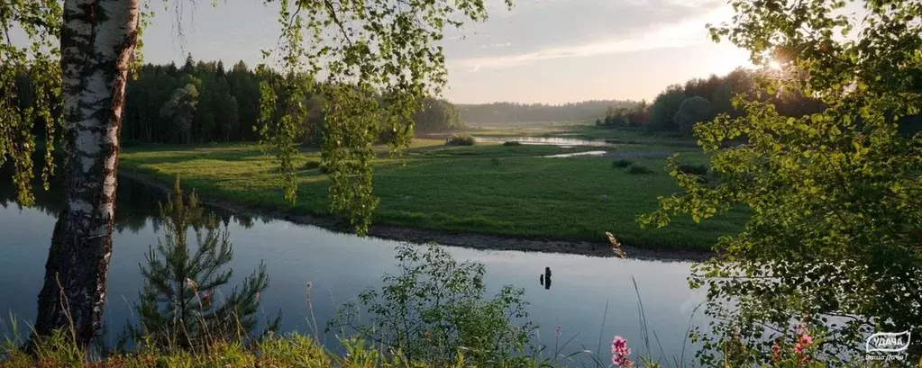 участок в московская область, рузский городской округ, пос. колюбакино . - Фото 1