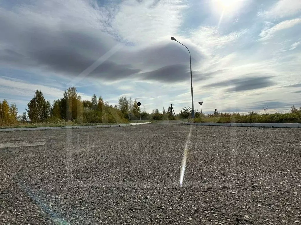 Участок в Омская область, Азовский Немецкий Национальный район, с. ... - Фото 2