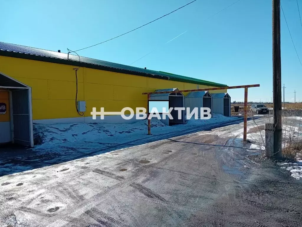 Торговая площадь в Новосибирская область, Купино Набережная ул., 118А ... - Фото 1