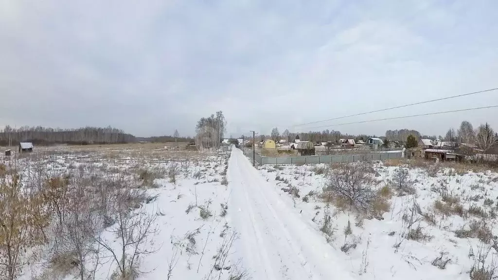 Участок в Тюменская область, Ялуторовский муниципальный округ, ... - Фото 1