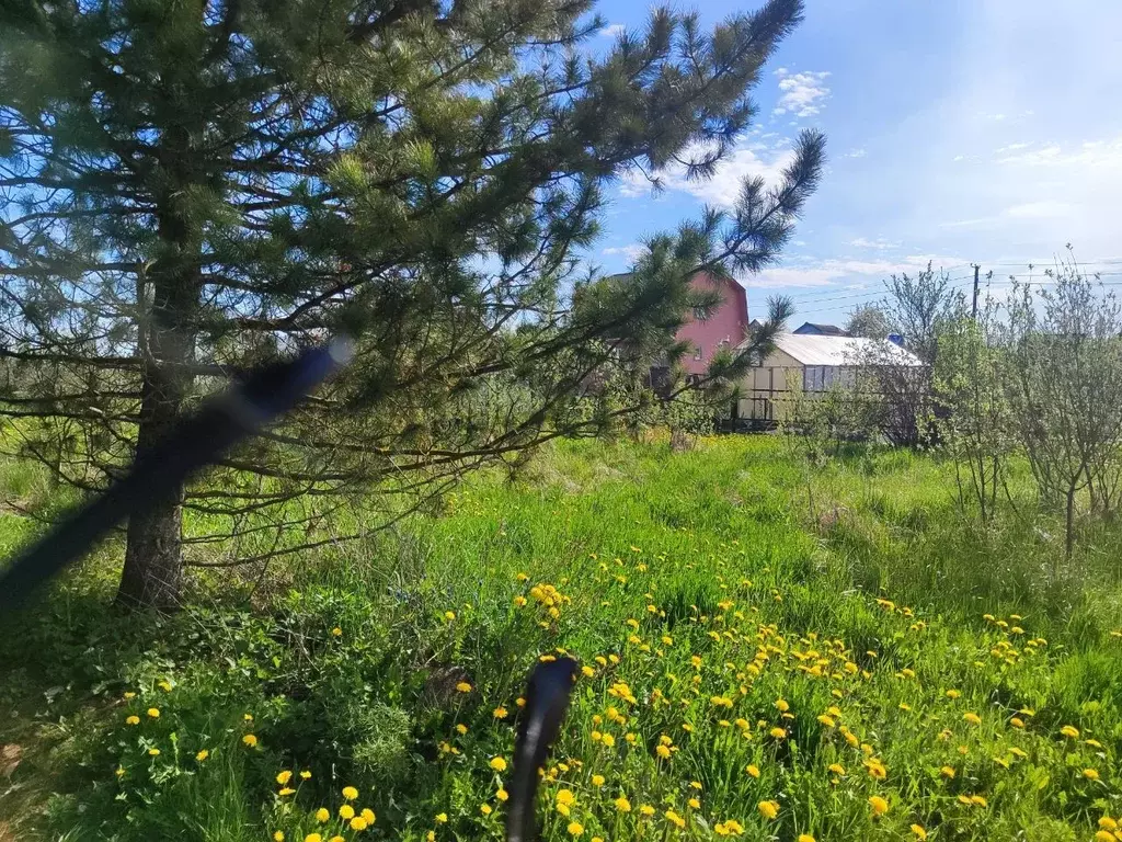 Участок в Новгородская область, Новгородский район, Ермолинское с/пос, ... - Фото 0