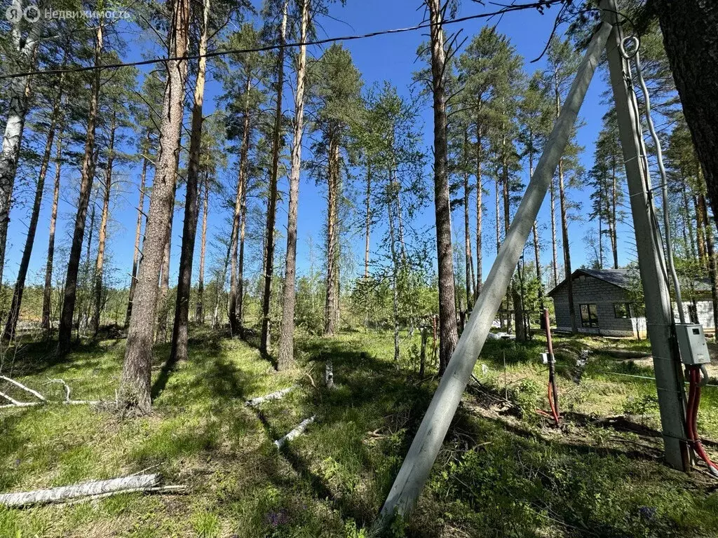 Участок в Свердловская область, городской округ Ревда, село Кунгурка ... - Фото 1