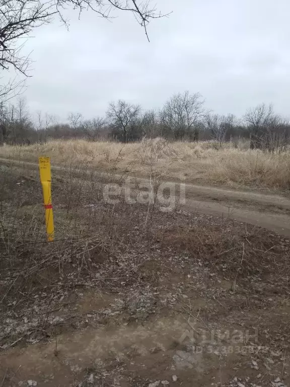 Участок в Ростовская область, Азов Азовский район, Мичуринец-3 мкр,  ... - Фото 1