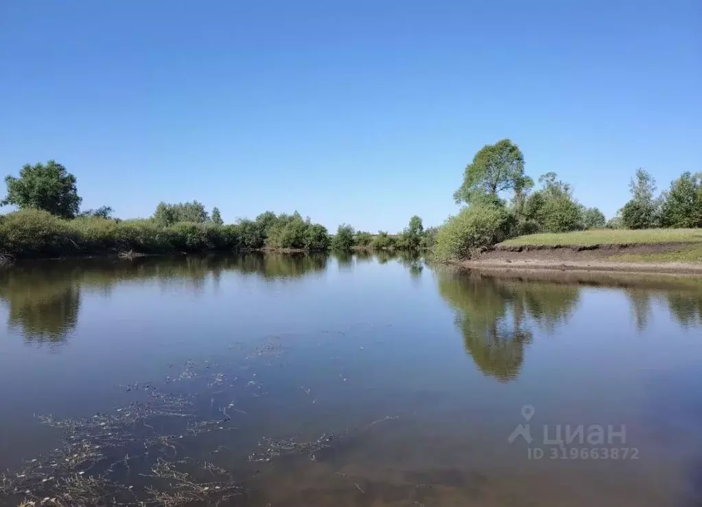 Участок в Пензенская область, Шемышейский район, с. Синодское  (2120.0 ... - Фото 1