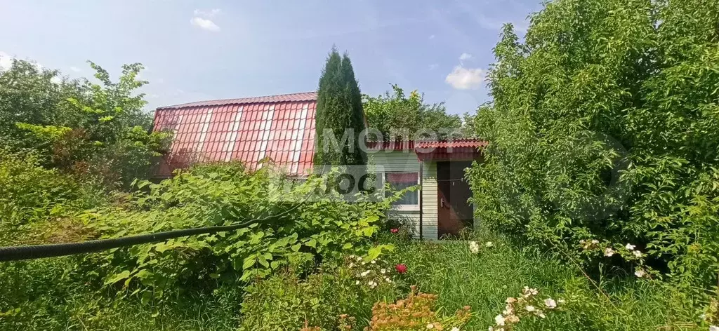 Участок 5 сот. (СНТ, ДНП) - Фото 0