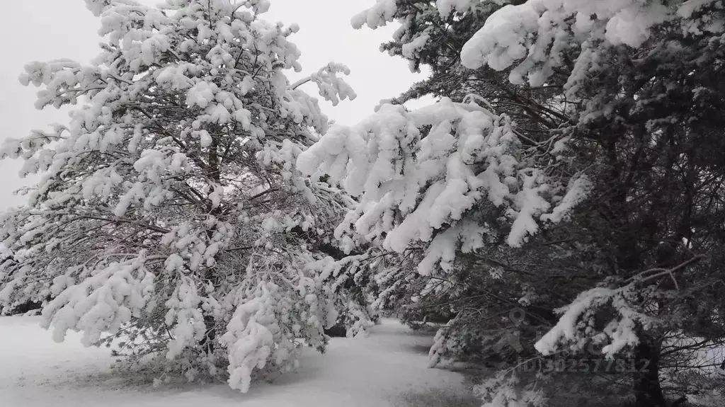 Дом в Псковская область, Печорский муниципальный округ, д. Малая ... - Фото 2