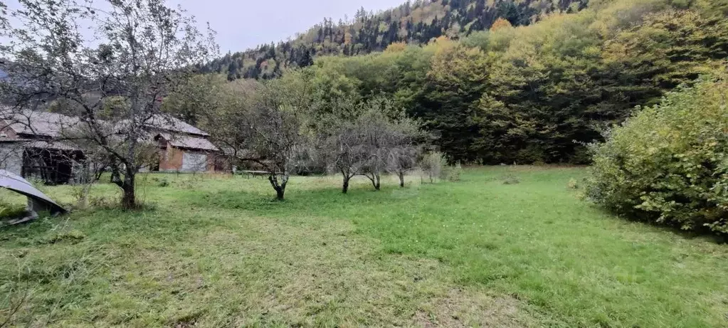 Участок в Адыгея, Майкопский район, Даховское с/пос, пос. Гузерипль ... - Фото 1