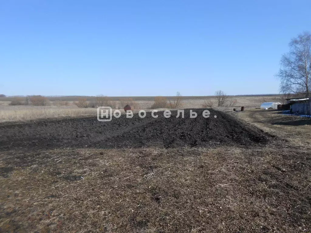 Участок в Рязанская область, Пронский район, Малинищинское с/пос, с. ... - Фото 2