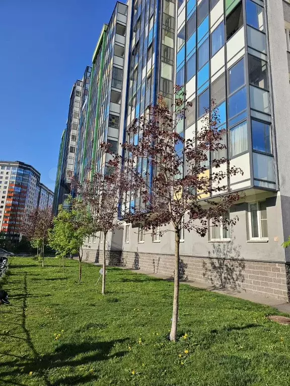 Квартира-студия, 26 м, 12/14 эт. - Фото 0