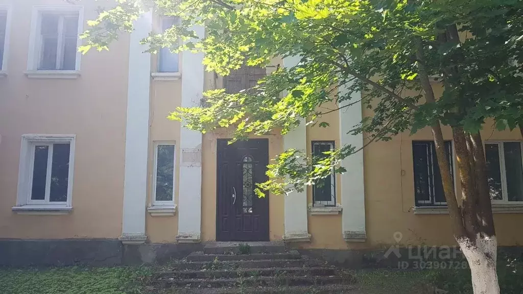 Помещение свободного назначения в Псковская область, Новоржев ул. ... - Фото 1