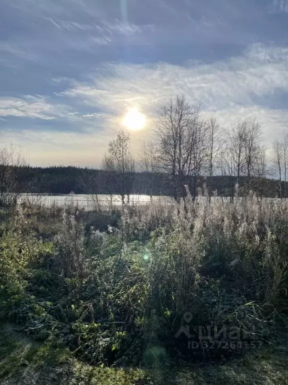 Участок в Мурманская область, Кольский муниципальный округ, ... - Фото 2