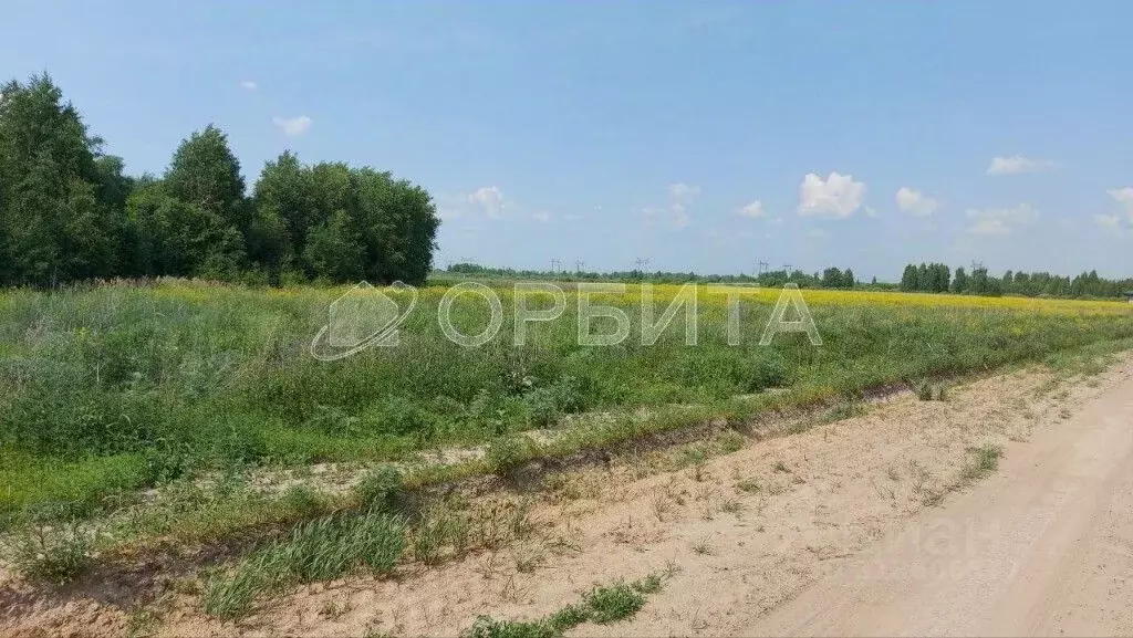 Участок в Тюменская область, Тюменский район, с. Борки  (9.42 сот.) - Фото 0