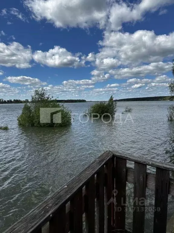 Дом в Новосибирская область, Новосибирский район, Кубовинский ... - Фото 1
