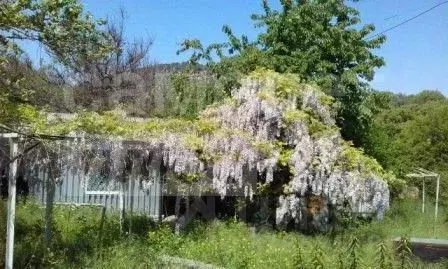 Дом в Севастополь Балаклавский муниципальный округ, с. Морозовка, ул. ... - Фото 1