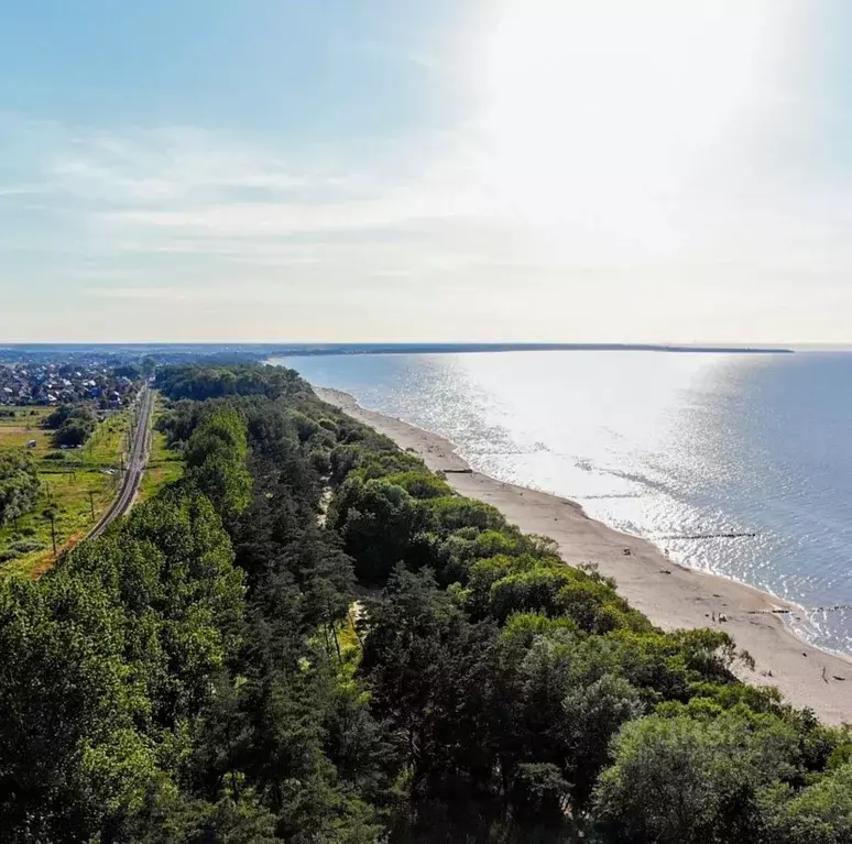 Участок в Калининградская область, Зеленоградск ул. Донская (6.0 сот.) - Фото 1