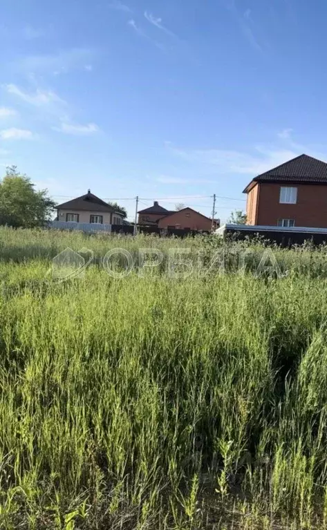 Участок в Тюменская область, Тюмень ул. Изобильная (7.1 сот.) - Фото 1