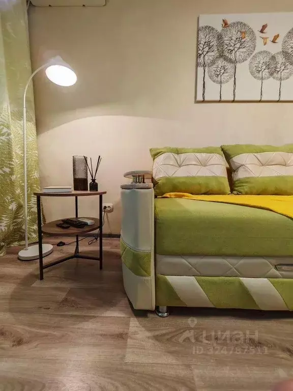 1-к кв. Амурская область, Благовещенск ул. Пушкина, 89 (37.0 м) - Фото 1