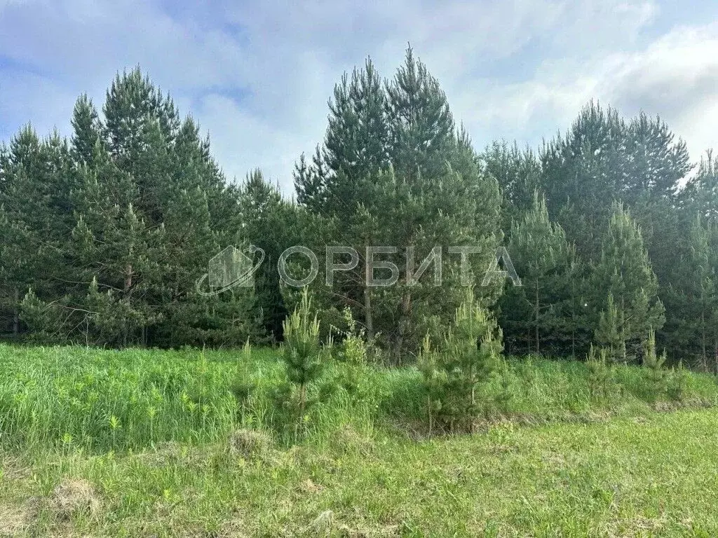 Участок в Тюменская область, Нижнетавдинский муниципальный округ, д. ... - Фото 2