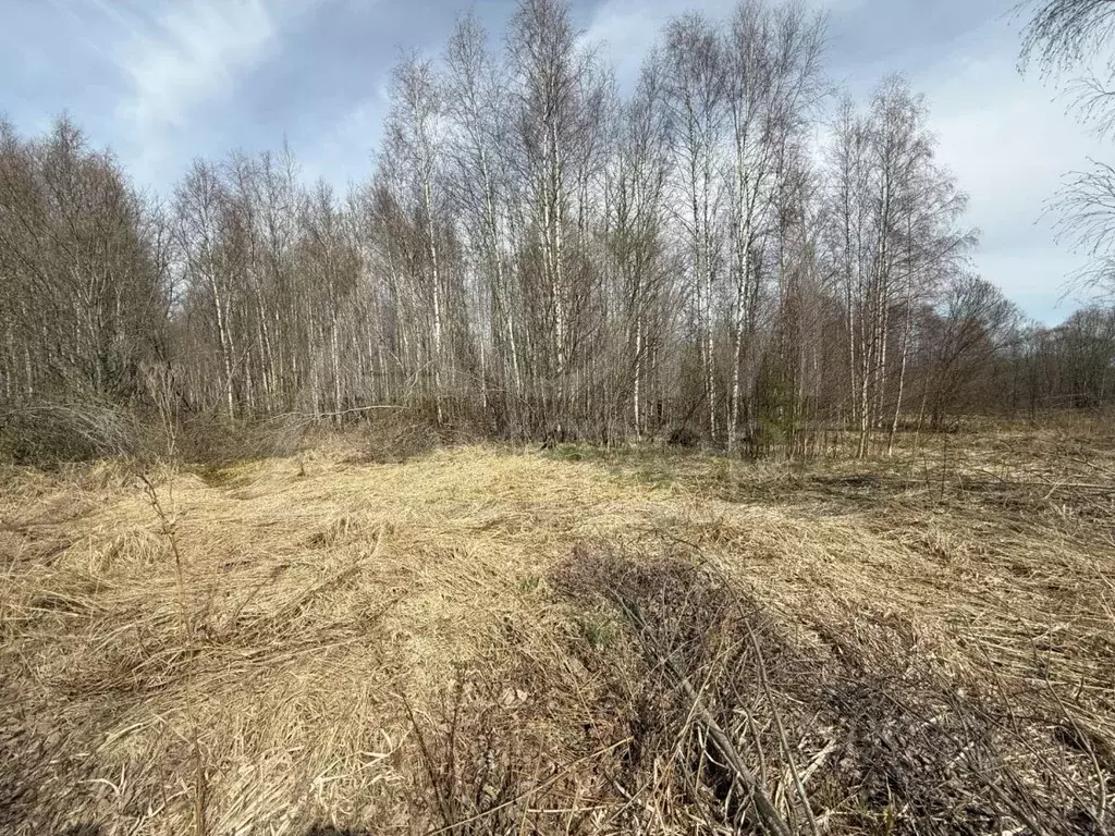 Участок в Ленинградская область, Выборг ул. Младших Командиров (22.5 ... - Фото 1