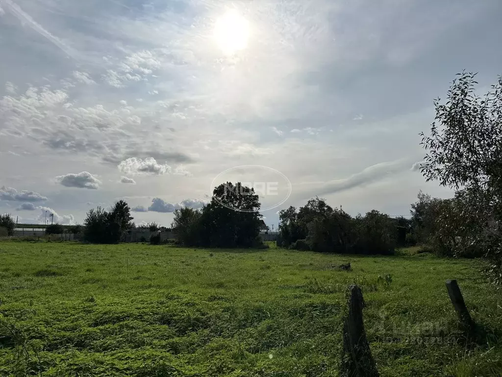 Участок в Калининградская область, Зеленоградский муниципальный округ, ... - Фото 0