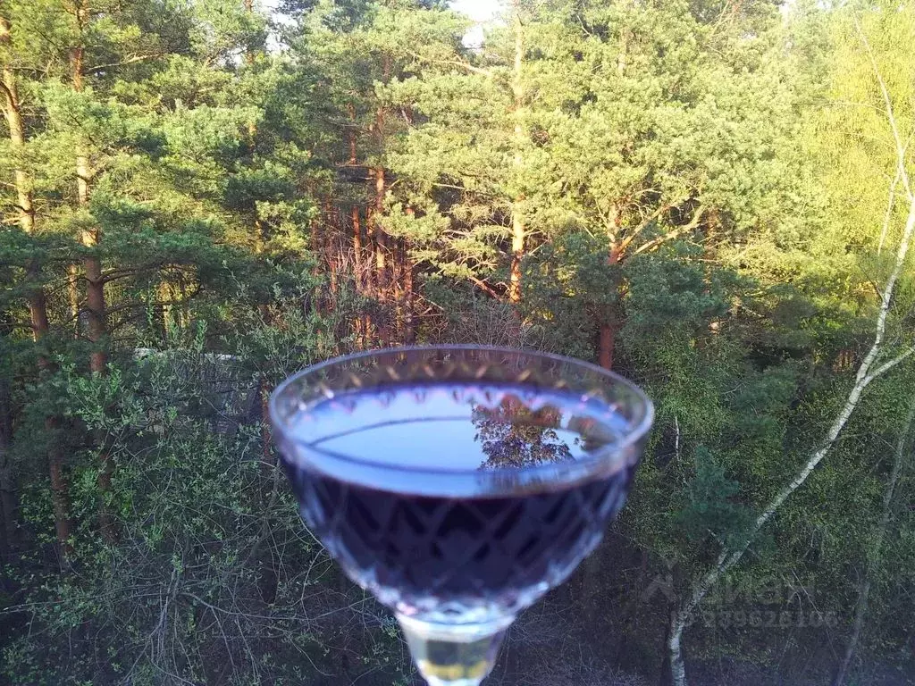 2-к кв. Псковская область, Пушкинские Горы рп ул. Турбаза, 2 (55.0 м) - Фото 1