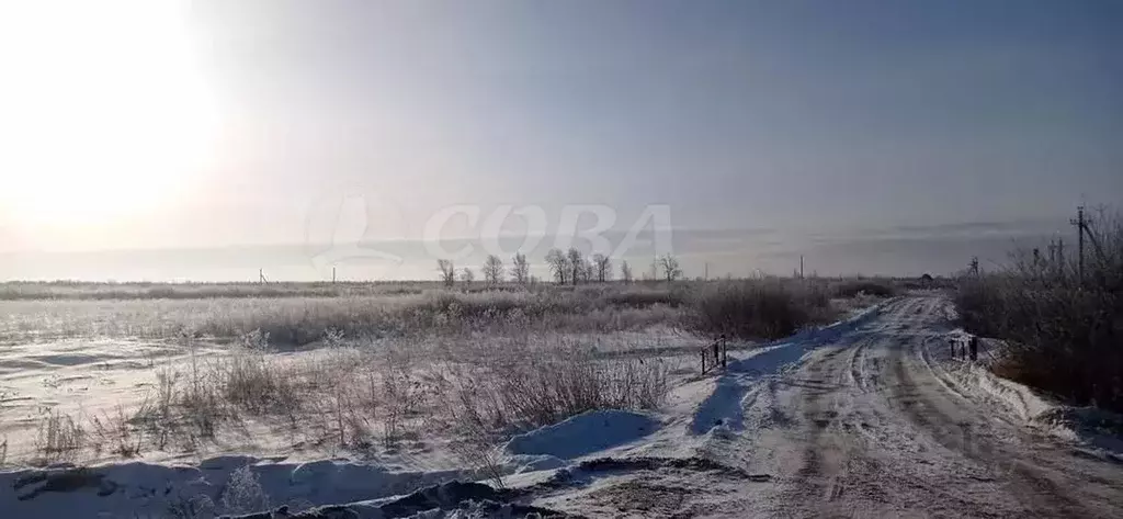 Участок в Тюменская область, с. Ярково  (3840.0 сот.) - Фото 1