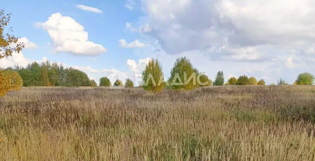 Участок в Владимирская область, Суздальский район, Селецкое ... - Фото 1