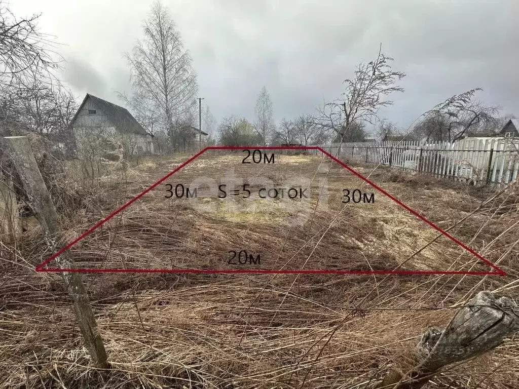 Участок в Брянская область, Брянский район, Мичуринское с/пос, ... - Фото 1