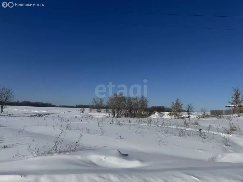 Участок в Камышлов, Степная улица (12 м) - Фото 1