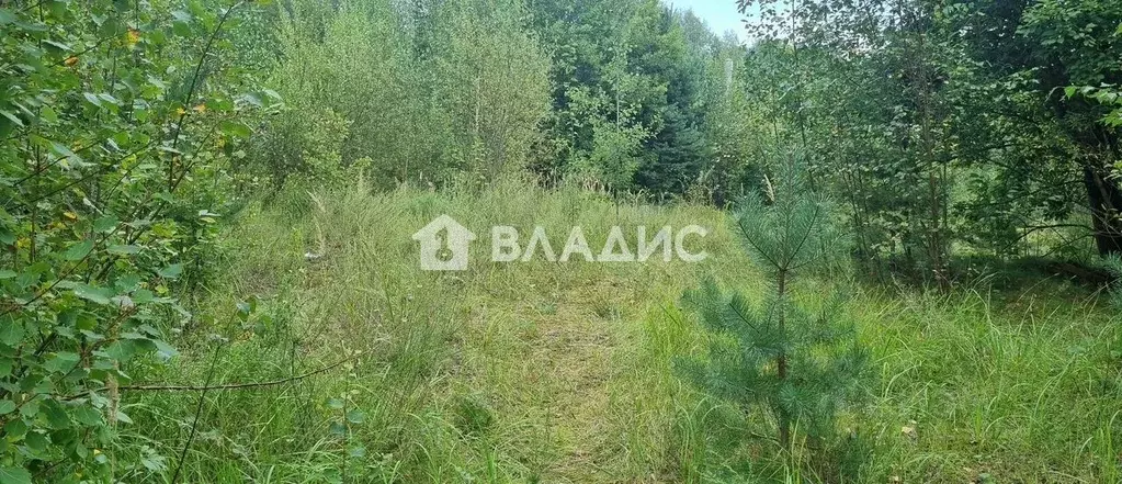 Участок в Ленинградская область, Всеволожский район, Колтушское ... - Фото 1
