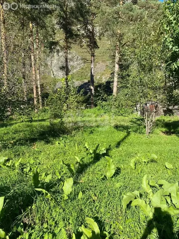 Участок в село Узнезя, Центральная улица (10.7 м) - Фото 1