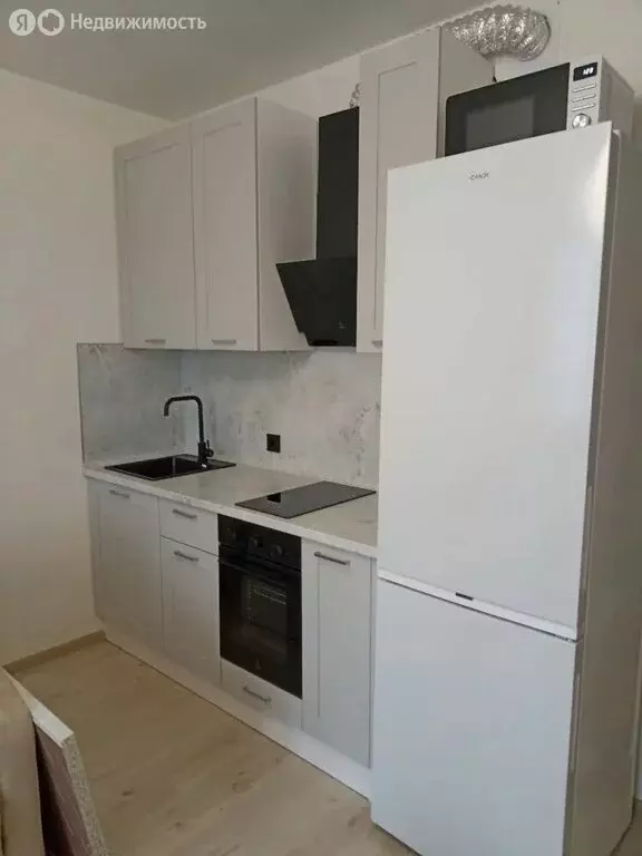 Квартира-студия: деревня Анкудиновка, Русская улица, 17 (27 м) - Фото 1