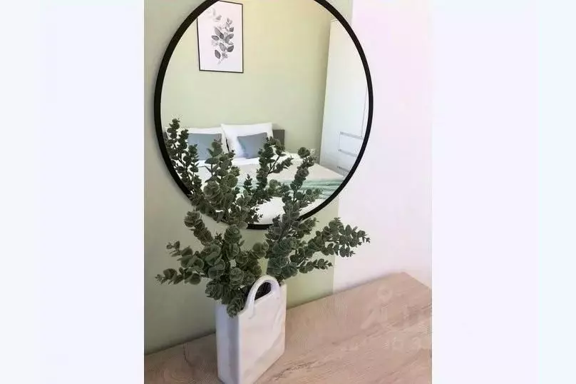 1-к кв. Воронежская область, Рамонский район, Яменское с/пос, пос. ... - Фото 2