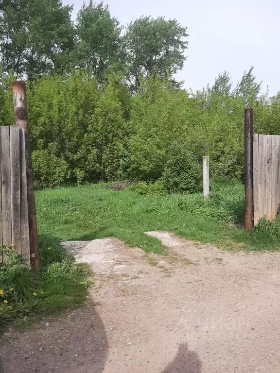 Участок в Пермский край, Пермский муниципальный округ, д. Большое ... - Фото 1