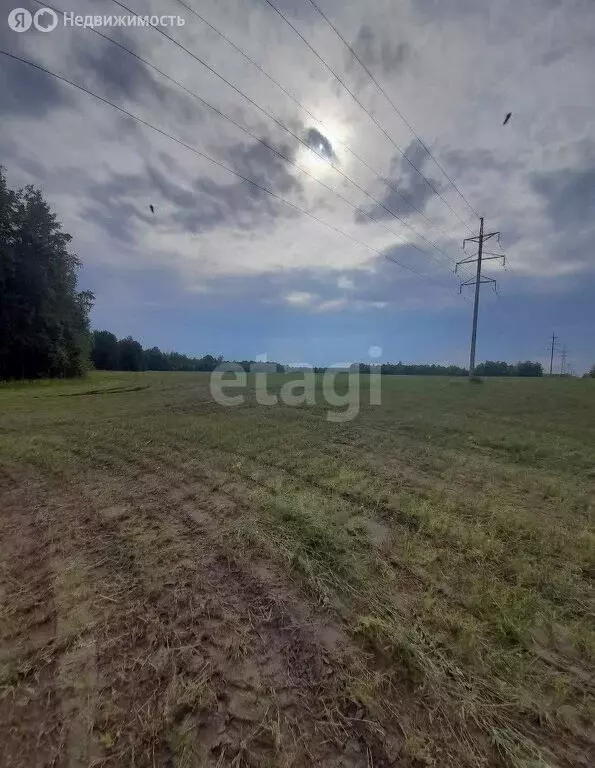 Участок в Томск, посёлок Родионово, Российская улица (15.5 м) - Фото 0