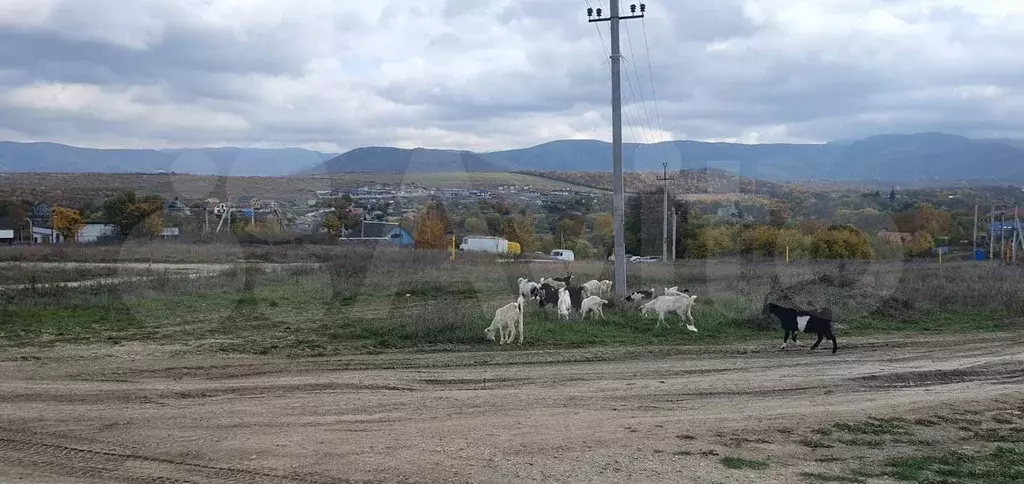 Участок 12 сот. (ИЖС) - Фото 1