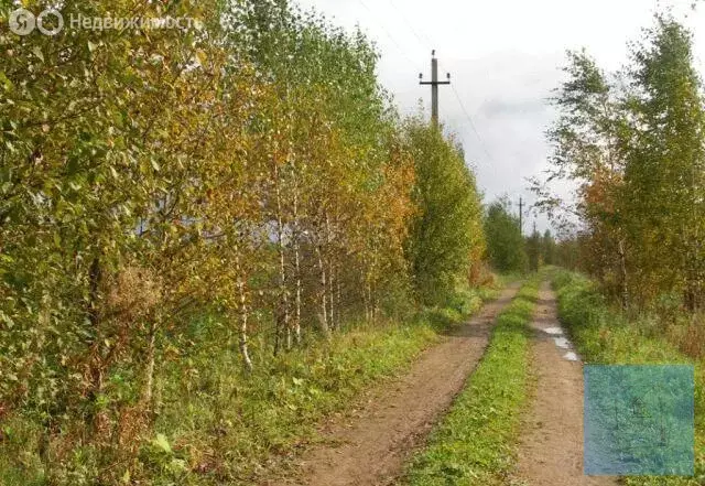 Участок в Московская область, городской округ Солнечногорск, деревня ... - Фото 1