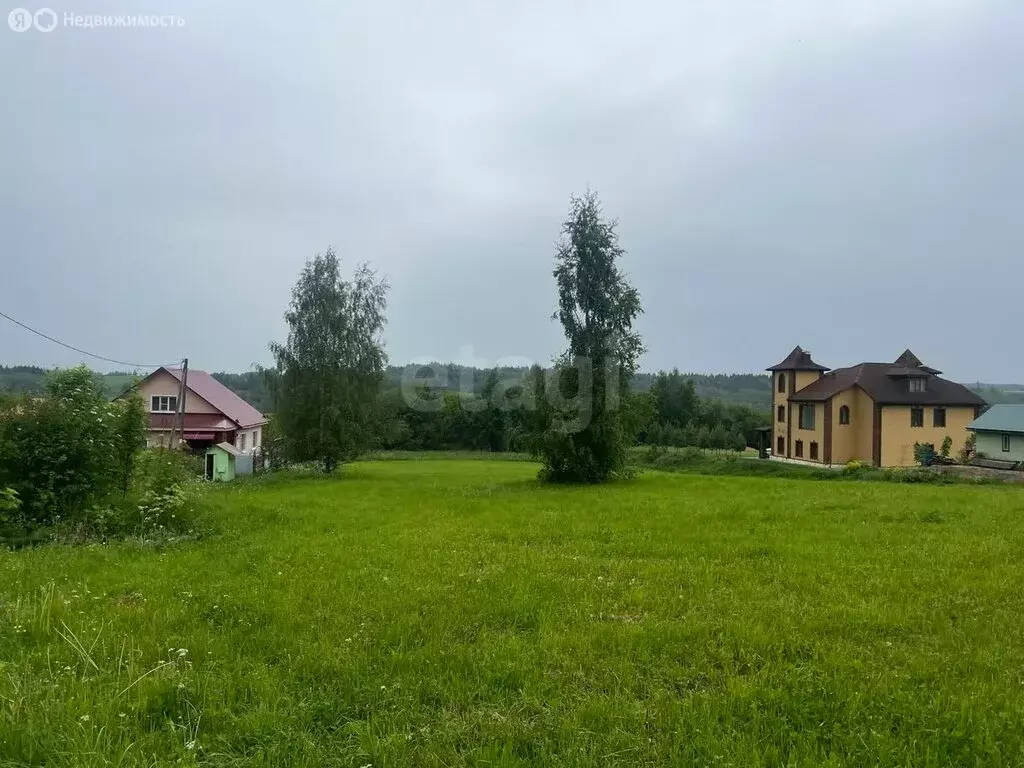Участок в Вологодская область, Шекснинский муниципальный округ, ... - Фото 1