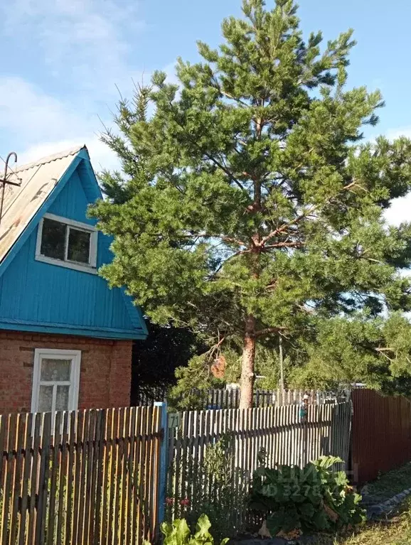Дом в Омская область, Омск СОСН Шинник-2 тер., аллея 2-я (30 м) - Фото 2