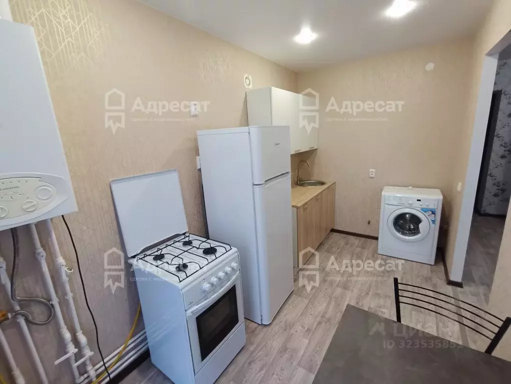 1-к кв. Волгоградская область, Волгоград ул. Добрушина, 22 (25.8 м) - Фото 2