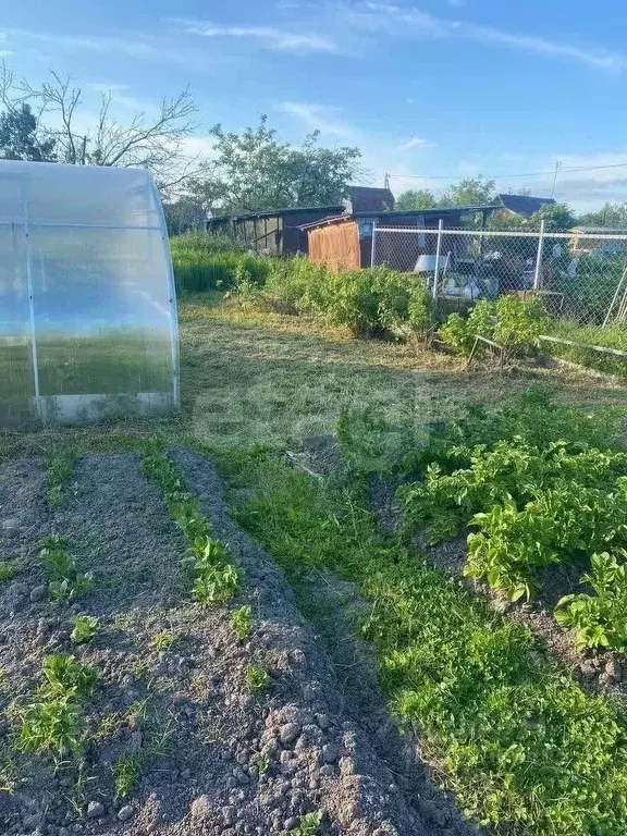 Дом в Ярославская область, Рыбинск Полиграфист-3 СНТ, 129 (45 м) - Фото 1