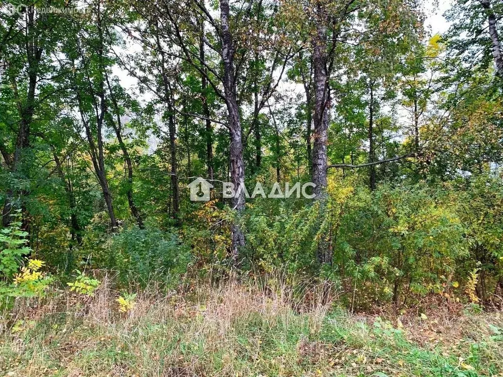 Участок в деревня Балахонки, Центральная улица, 19 (14.46 м) - Фото 1