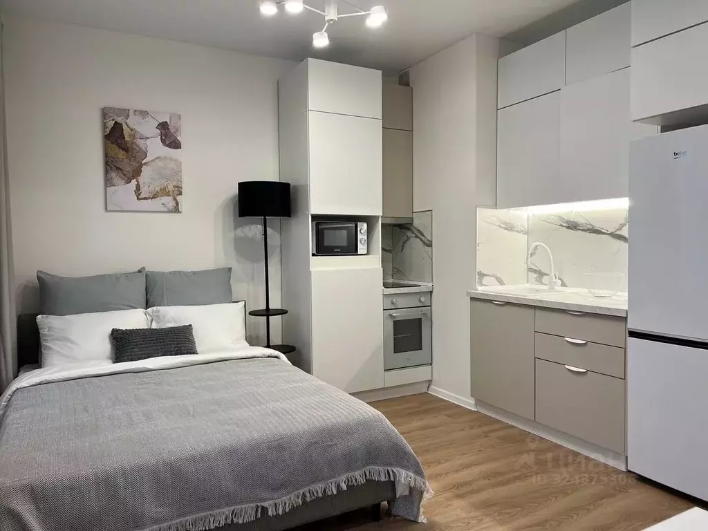 Студия Московская область, Домодедово городской округ, с. Ям ул. ... - Фото 2